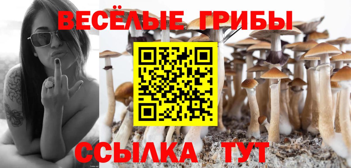 Россошь  Псилоцибиновые грибы MAGIC MUSHROOMS  Вход с VPN 